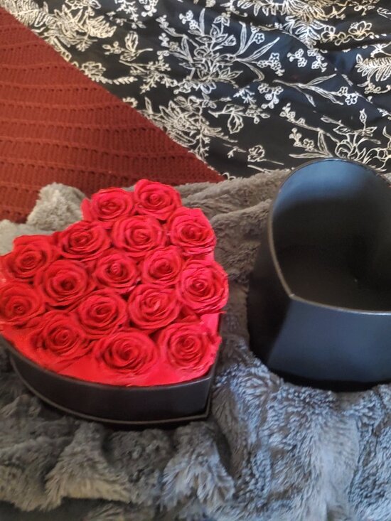 Other - Preserved red roses
